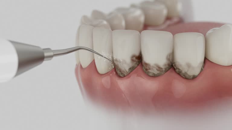 Reliable Dental contractor in Salem, AR by Dentist Open Now